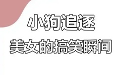 草莓100在线视频